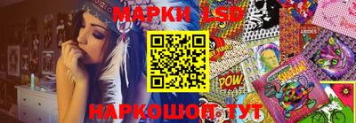 ECSTASY Новозыбков