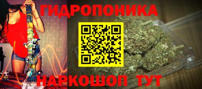ECSTASY Новозыбков