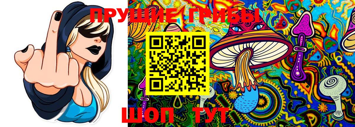 Галлюциногенные грибы мицелий  Вход с VPN  Тихорецк 